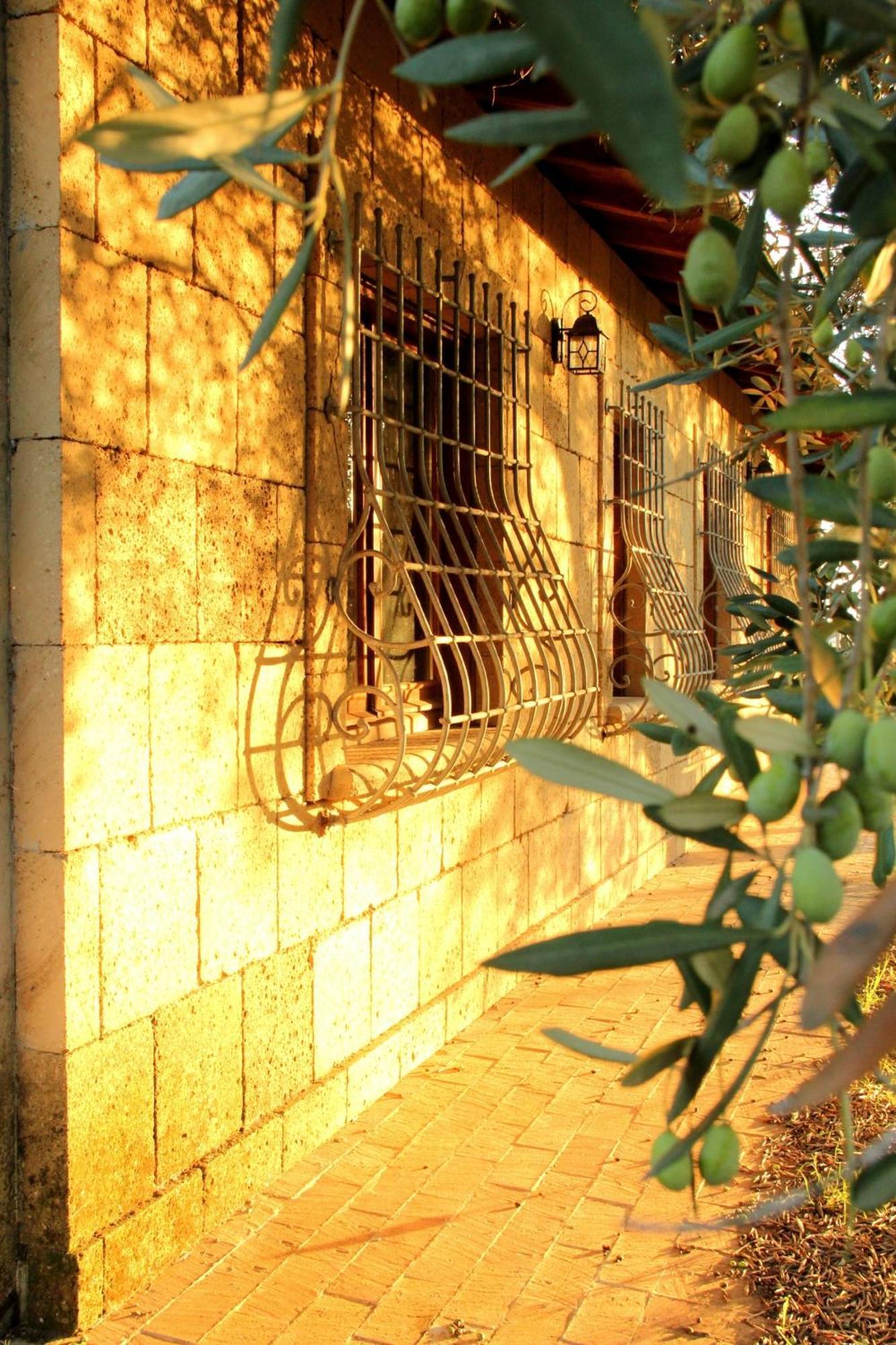 Al Vecchio Fontanile B&B Ladispoli Exterior photo